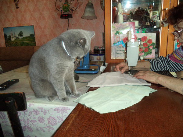 Андрей Дудник