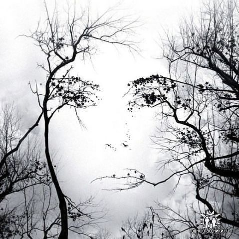 Галина Левина