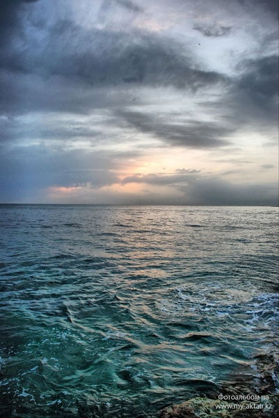 Андрей Ибадулаев