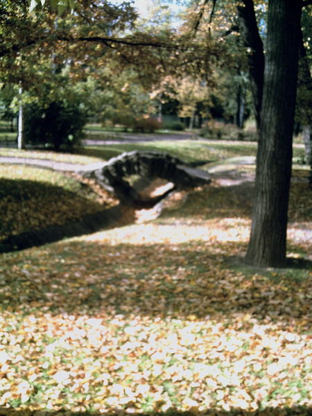 Ирина Свистун