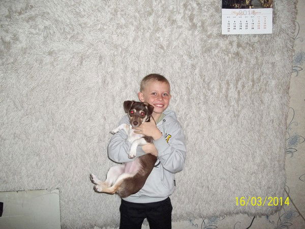 Роман Фефелов