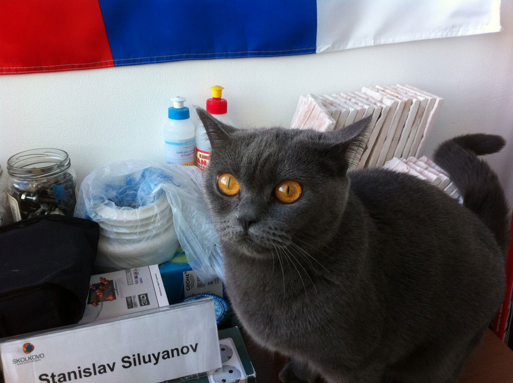 Юля Силуянова