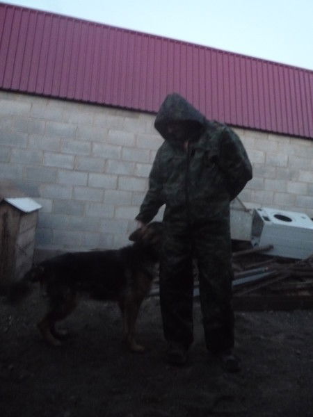 Виктор Стёпкин