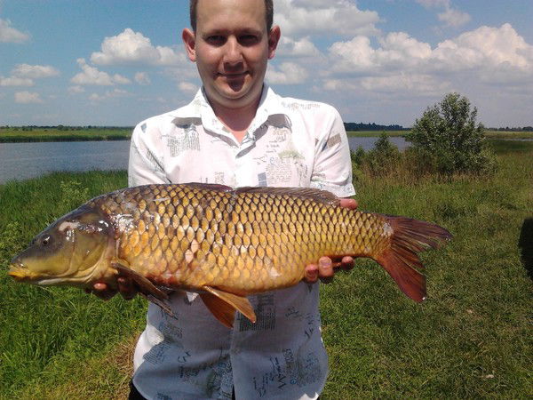 Андрей Свинцицкий