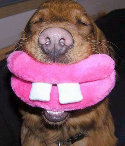 Семён Штинов