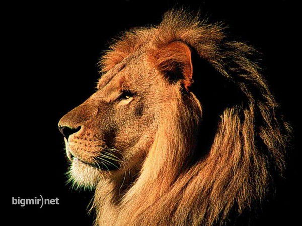 Стас Пичугов