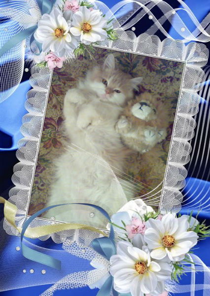 Светлана Хавень