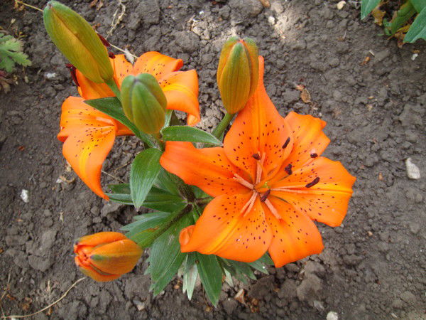 Ирина Микитюк