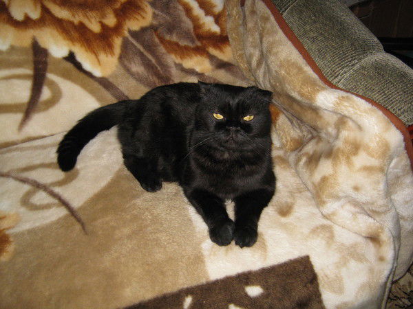 Мария Руденко