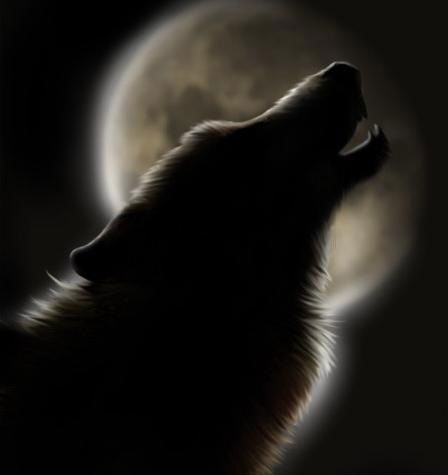 Дима Авдонин