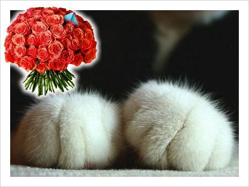 *****aleksandra *****