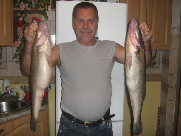 Владимир Обжилян