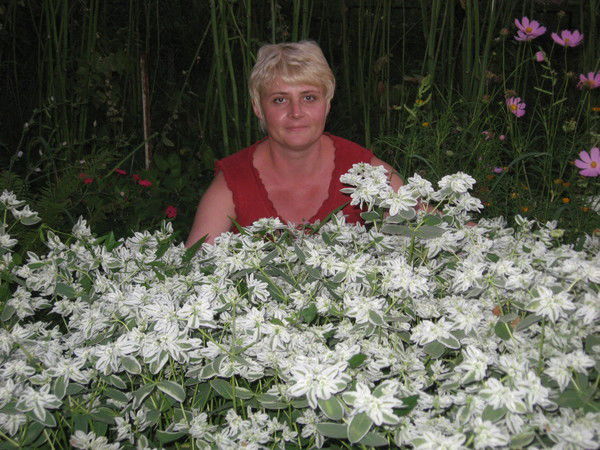 Марина Бударина