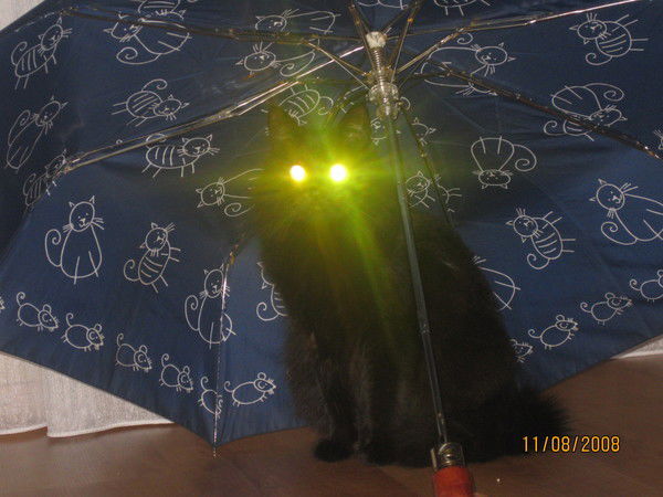 Наталья Кушнир