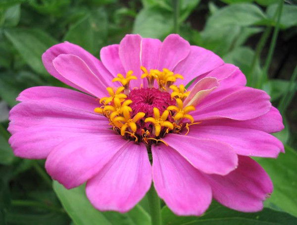 Татьяна Польникова