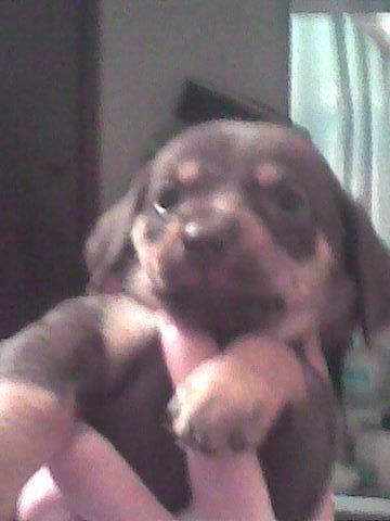 Оксана 1976 Лапенкова