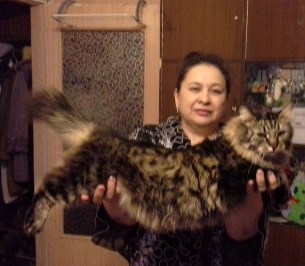 Ольга Антоненко