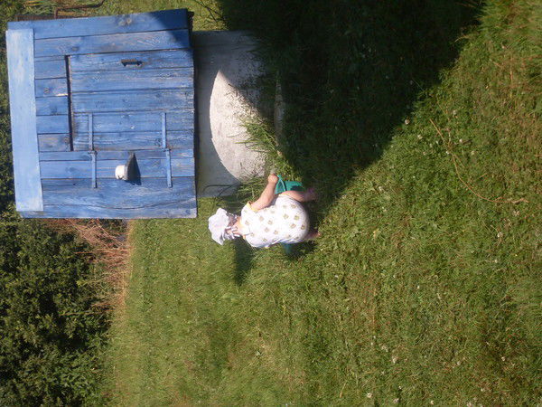 Лена Нехвядович