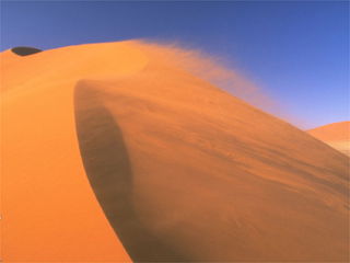 Надежда Го(Кокшенева)