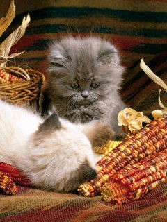 Надежда Баринова