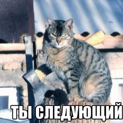 Никита Жаров