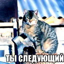 Никита Жаров