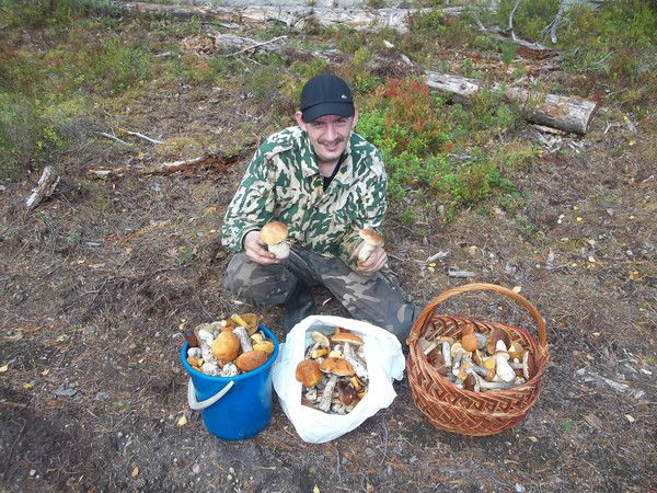 Dimocnka E'dmyhdovicn