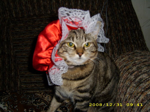 Зоя Соколова