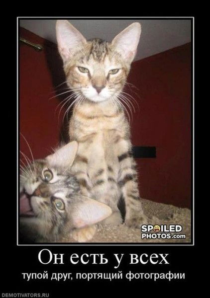 Cамрат Искалиев