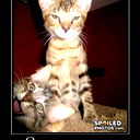 Cамрат Искалиев