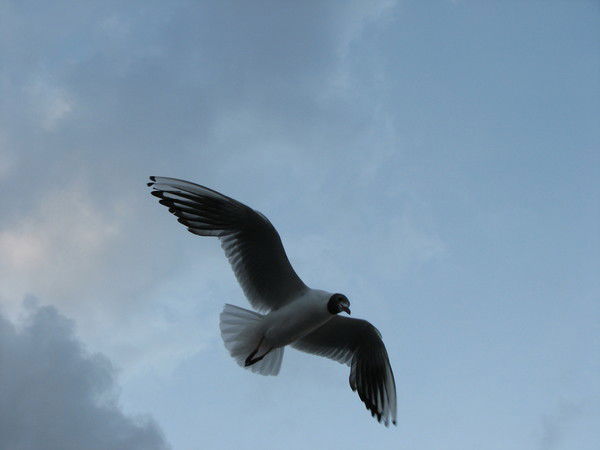 Людмила Романчина