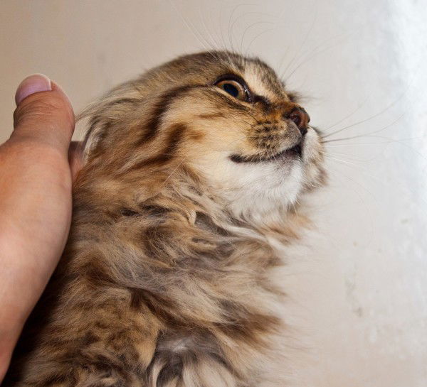 Сергей Хрюкин