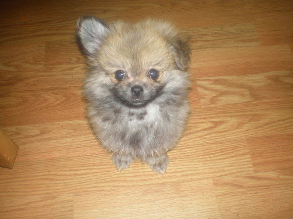 Алексей Наумов