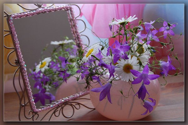 Аленушка Левина