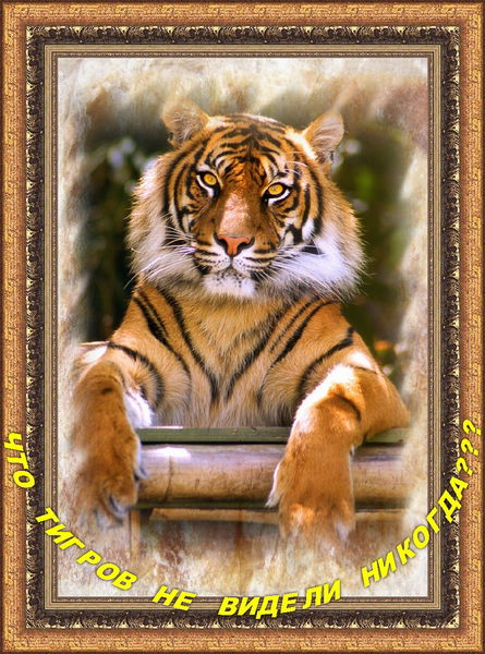 Константин Терешков