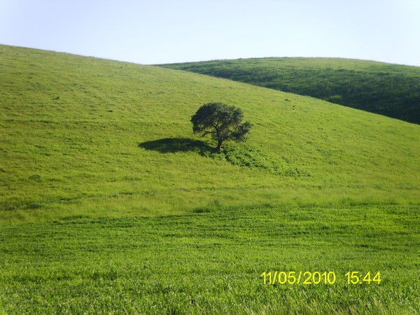 Эрик Сапар Уулу