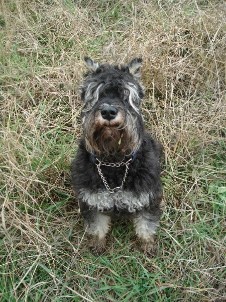 Лера Филатова