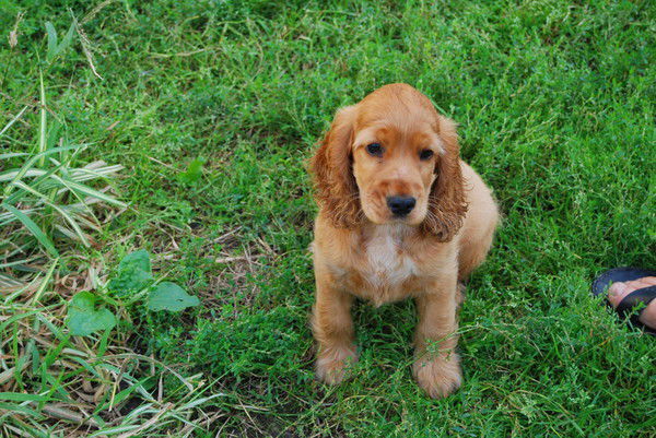 Фичуров Виктор