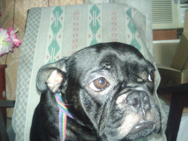 Сергей Молчанов