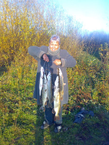 Татьяна Цыбизова