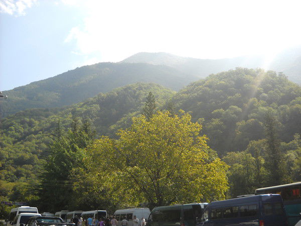 Ольга Ловцова