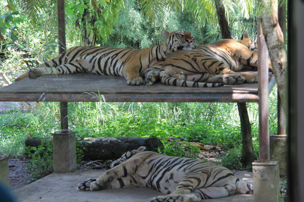 Владимр Викторович