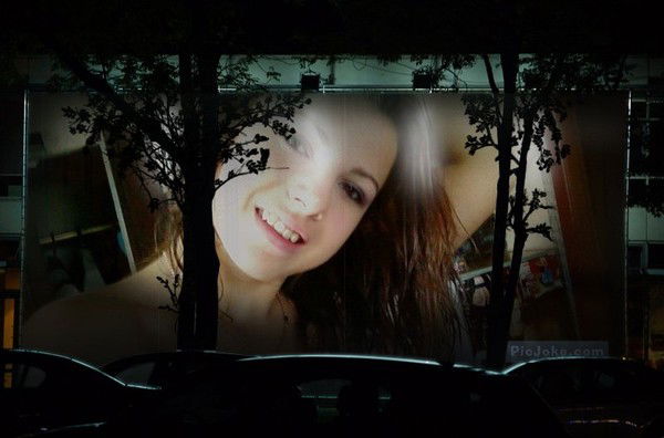 Елена Мещерякова