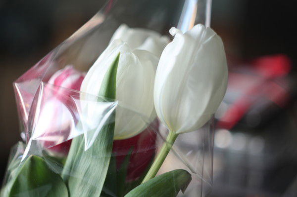 Елена Смирнова