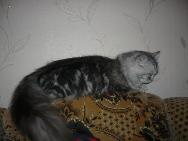 Людмила Людмила