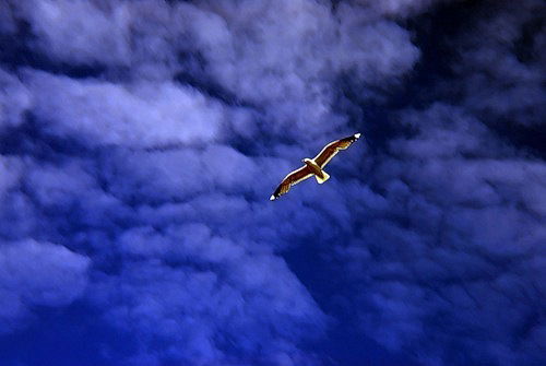 Наталья Гинза