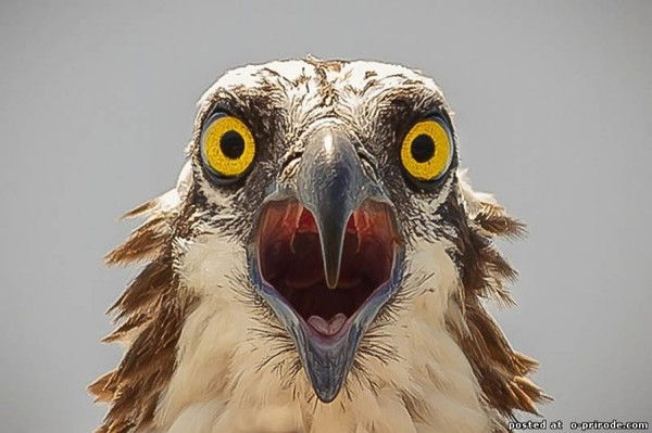 Мария Коновалова