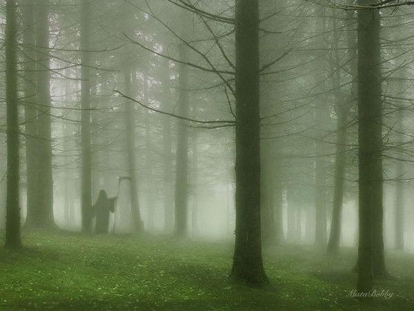 Наталия Титова