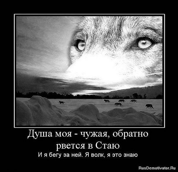 Сергей Тепляков