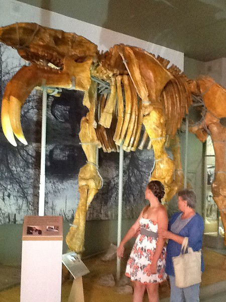 Галина Жаворонкова